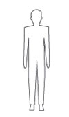 A graphic of a normal weight body.